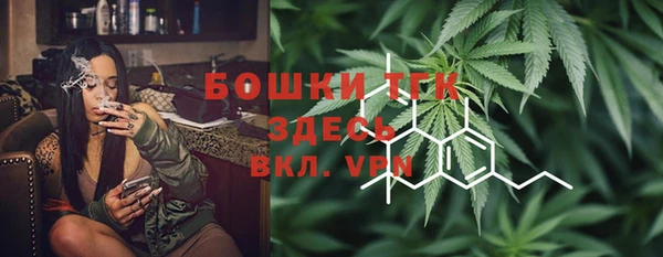 дурь Киреевск