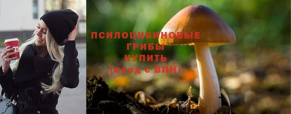 дурь Киреевск