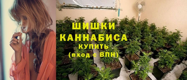 дурь Киреевск