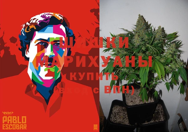 дурь Киреевск