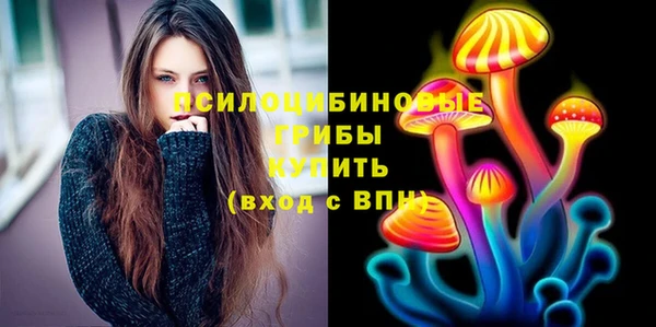 дурь Киреевск