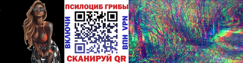 Галлюциногенные грибы мухоморы  Купить где  Астрахань 